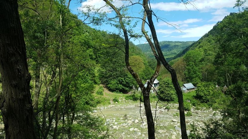  - 2017 TEL VLAD PODGORIA AVINCIA SI CASA ROMANEASCA