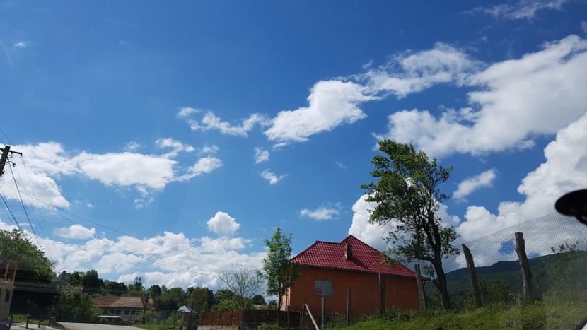  - 2017 TEL VLAD PODGORIA AVINCIA SI CASA ROMANEASCA