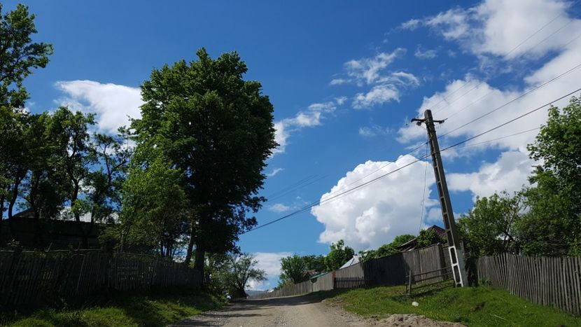  - 2017 TEL VLAD PODGORIA AVINCIA SI CASA ROMANEASCA