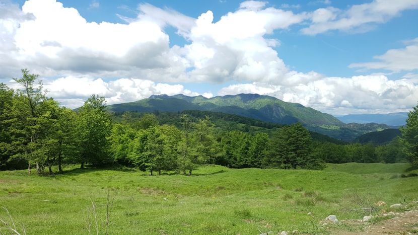  - 2017 TEL VLAD PODGORIA AVINCIA SI CASA ROMANEASCA