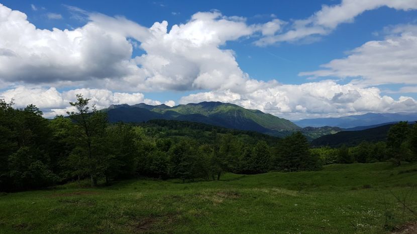  - 2017 TEL VLAD PODGORIA AVINCIA SI CASA ROMANEASCA