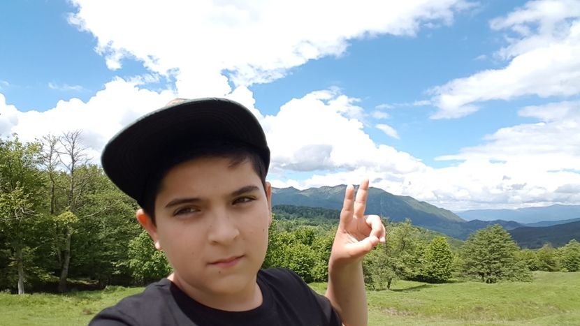  - 2017 TEL VLAD PODGORIA AVINCIA SI CASA ROMANEASCA