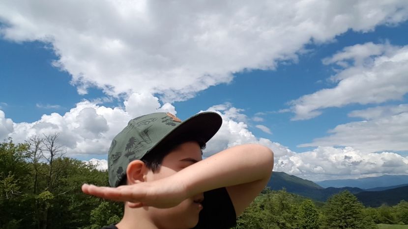  - 2017 TEL VLAD PODGORIA AVINCIA SI CASA ROMANEASCA