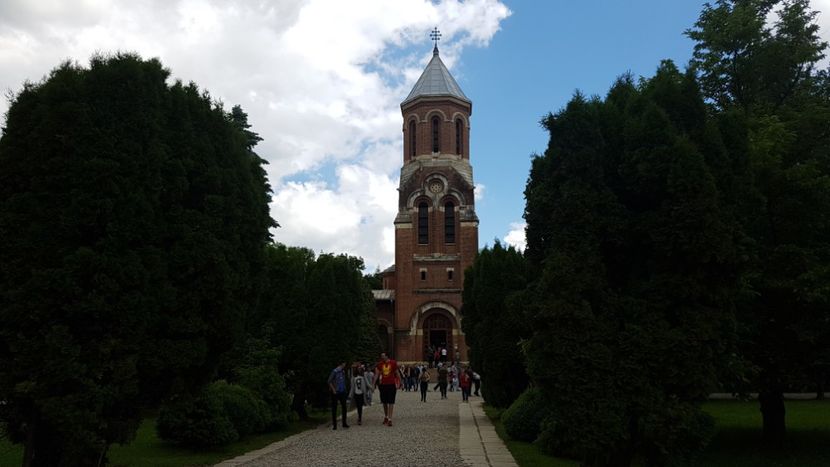  - 2017 TEL VLAD PODGORIA AVINCIA SI CASA ROMANEASCA