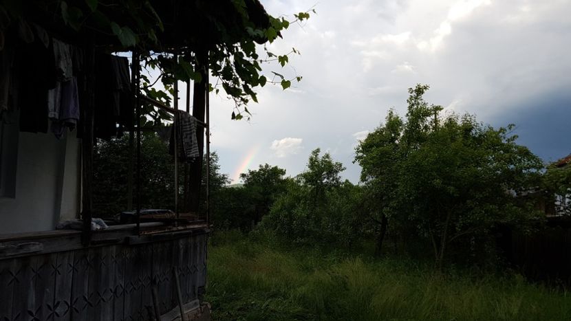  - 2017 TEL VLAD PODGORIA AVINCIA SI CASA ROMANEASCA