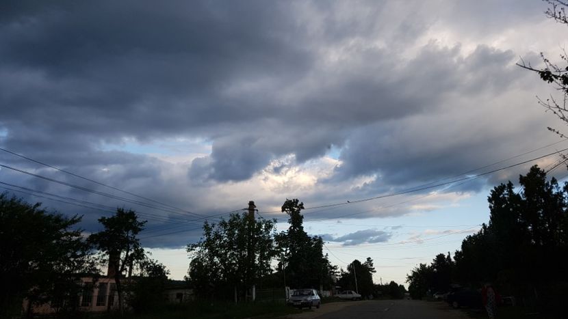  - 2017 TEL VLAD PODGORIA AVINCIA SI CASA ROMANEASCA