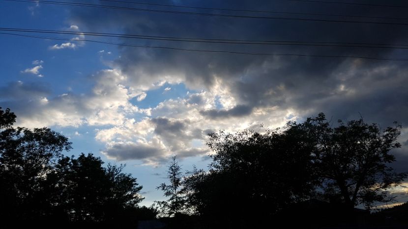  - 2017 TEL VLAD PODGORIA AVINCIA SI CASA ROMANEASCA