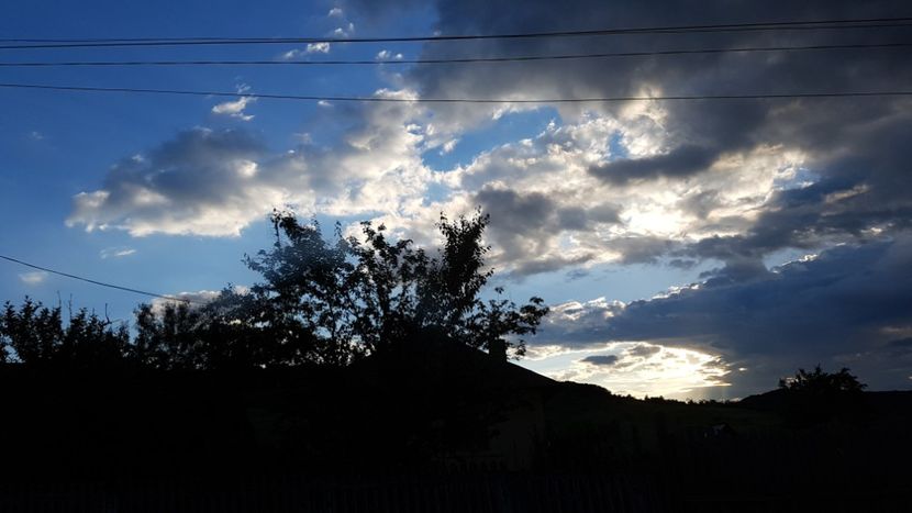  - 2017 TEL VLAD PODGORIA AVINCIA SI CASA ROMANEASCA