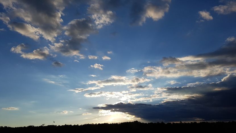  - 2017 TEL VLAD PODGORIA AVINCIA SI CASA ROMANEASCA