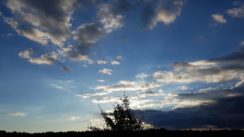  - 2017 TEL VLAD PODGORIA AVINCIA SI CASA ROMANEASCA