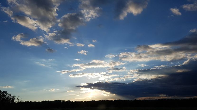  - 2017 TEL VLAD PODGORIA AVINCIA SI CASA ROMANEASCA