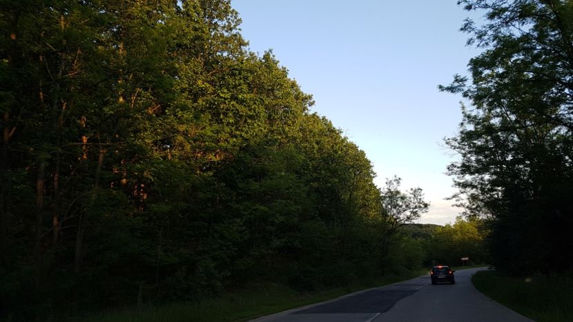  - 2017 TEL VLAD PODGORIA AVINCIA SI CASA ROMANEASCA