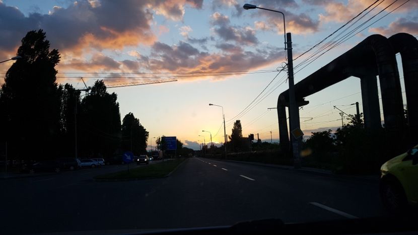  - 2017 TEL VLAD PODGORIA AVINCIA SI CASA ROMANEASCA