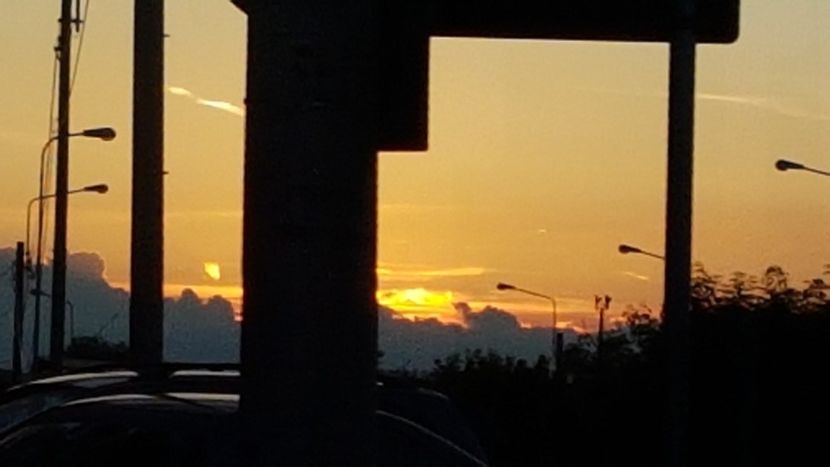  - 2017 TEL VLAD PODGORIA AVINCIA SI CASA ROMANEASCA