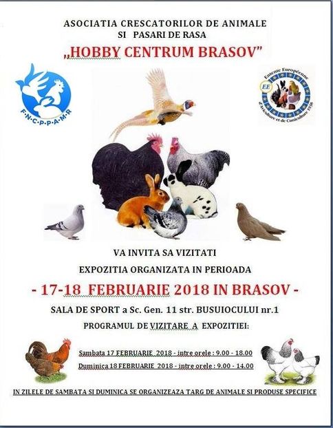  - T--TARGURI SI EXPOZITII