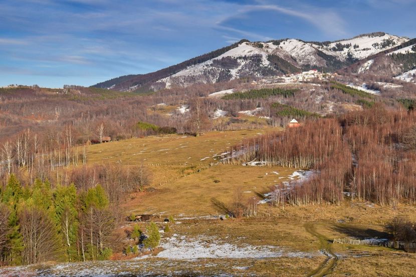  - Photo 12 - Iarna