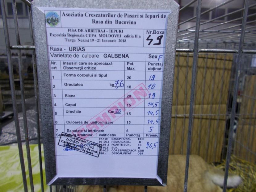  - REZULTATE EXPOZITIA REGIONALA A MOLDOVEI 2018