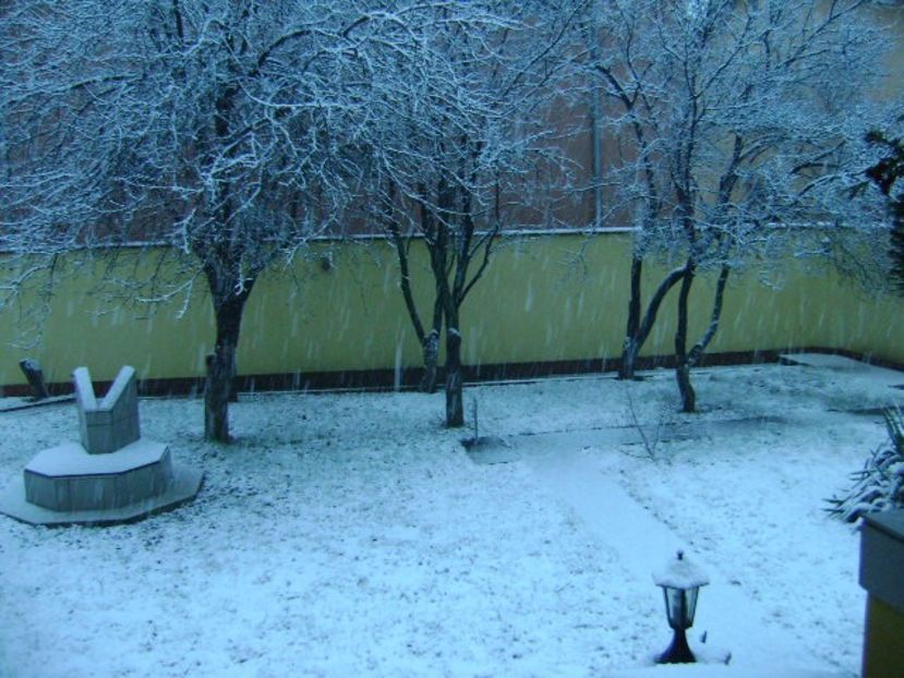 Ninge... - v Iarna 2016-2017-2018