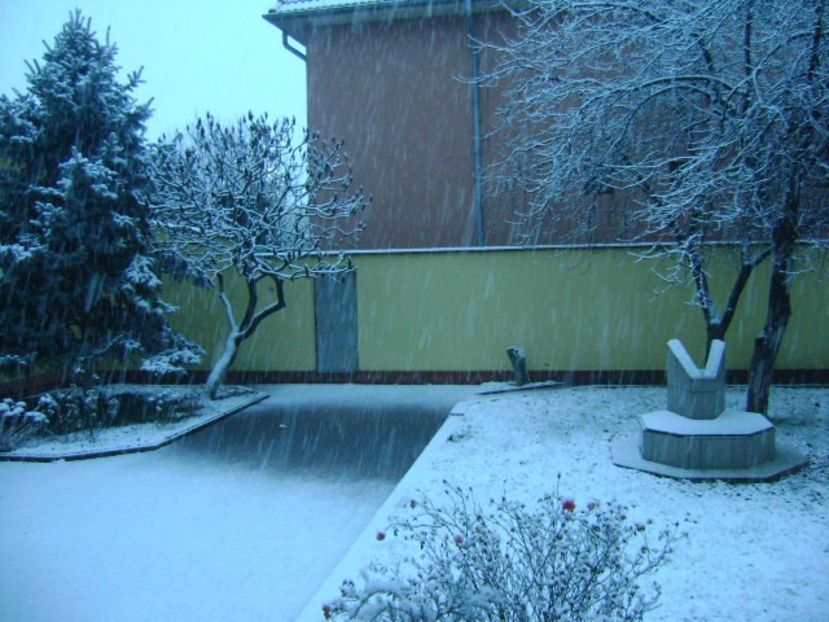 Ninge... - v Iarna 2016-2017-2018