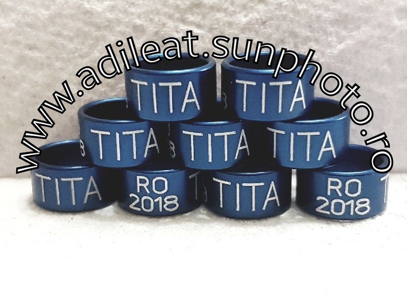 2018-01-20_12-56-00-402 - 1-A-INELE PERSONALIZATE 2018