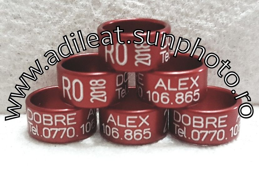 2018-01-20_12-54-42-134 - 1-A-INELE PERSONALIZATE 2018