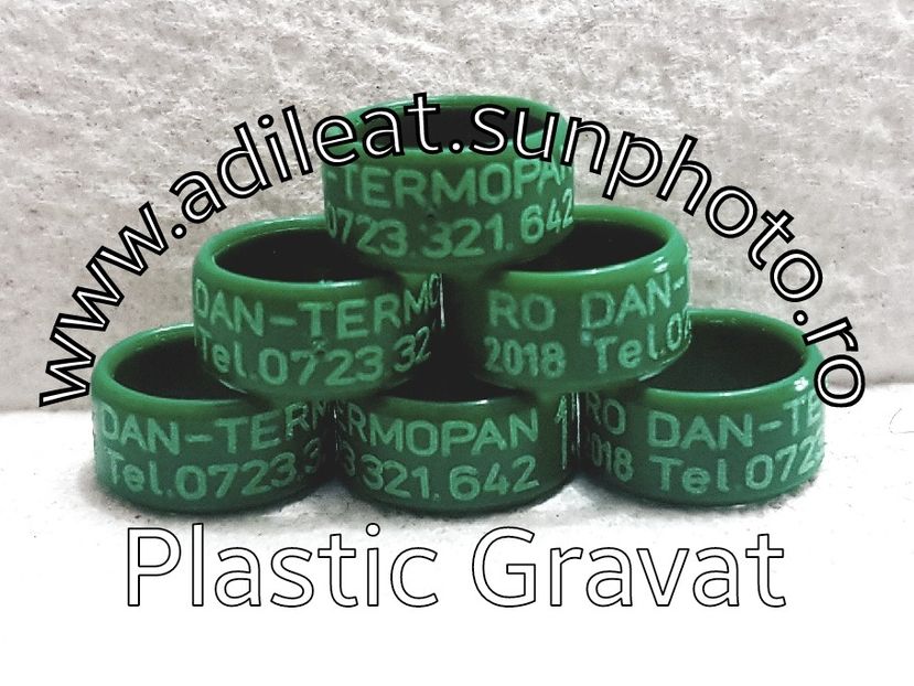 2018-01-20_12-50-48-152 - 1-A-INELE PERSONALIZATE 2018