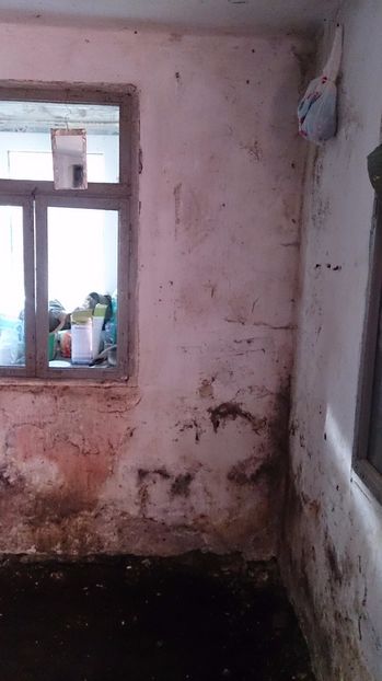  - amenajari interioare si finisari in lemn