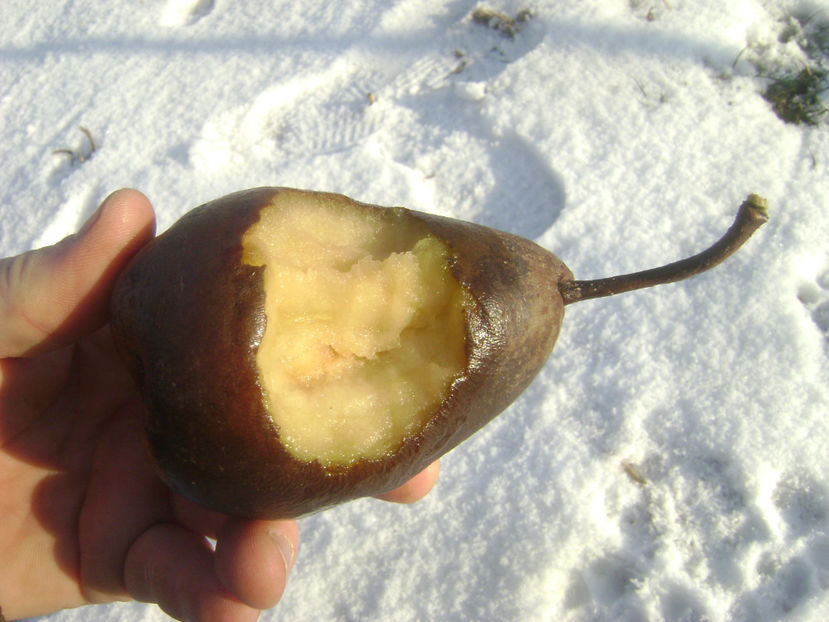 Par Virgiliu Hibernal 2 - Par Virgiliu Hibernal