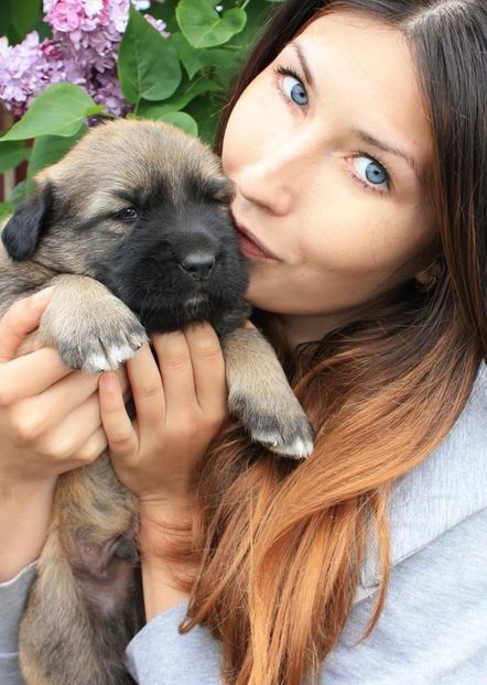 Unul din obraznicii familiei.. - Pui de ciobanesc caucazian