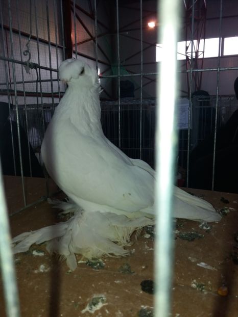  - A 0 CONTACT 0741057585