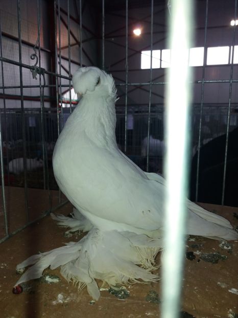  - A 0 CONTACT 0741057585