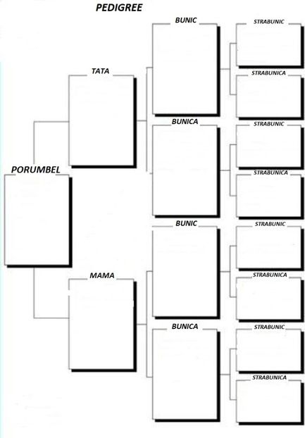 model pdg 1 - Model pedigree