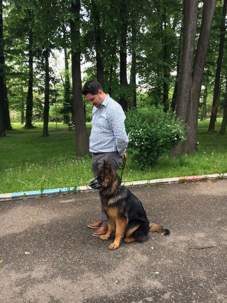 IMG-20180122-WA0032 - Ciobănesti Germani