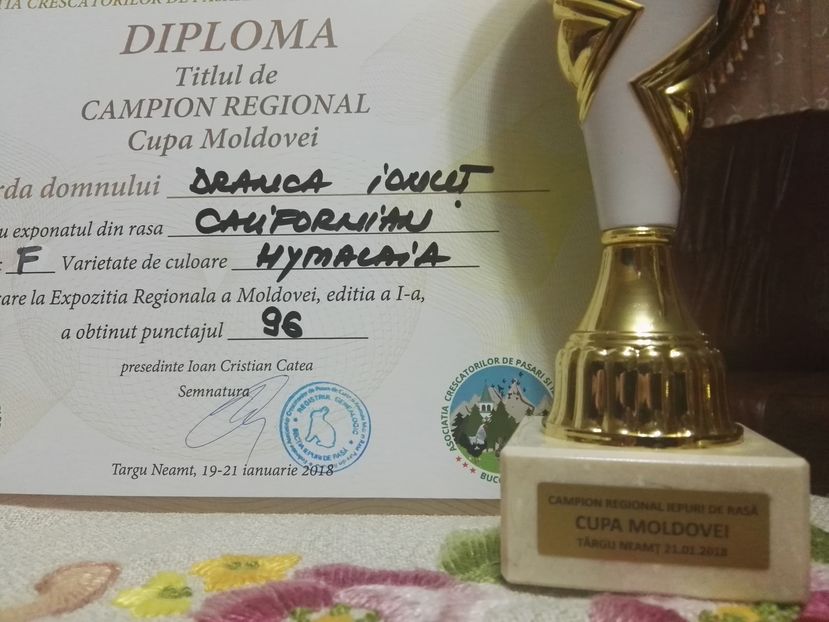  - CUPA MOLDOVEI 2018