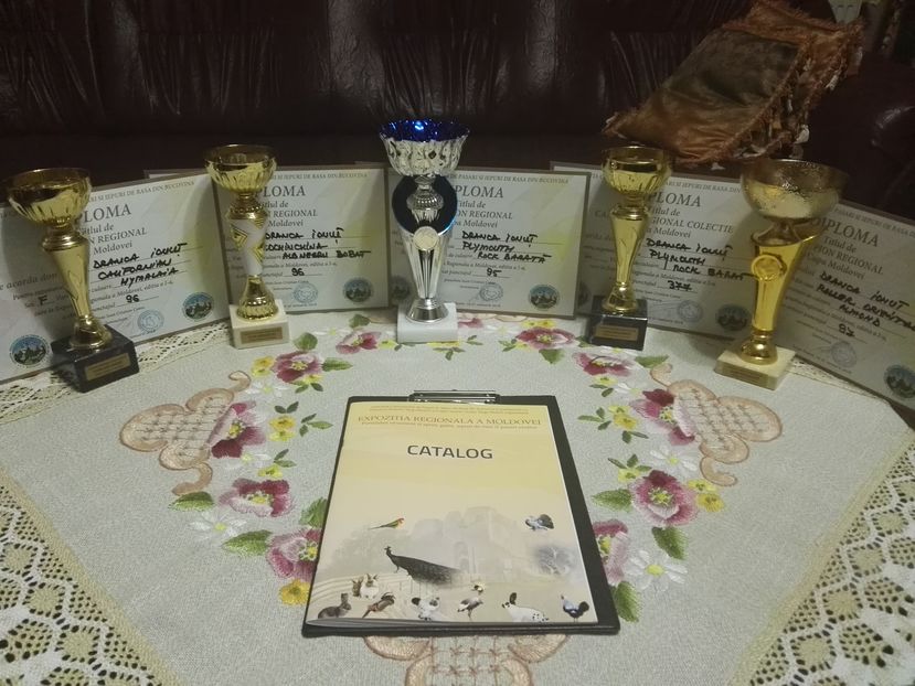  - CUPA MOLDOVEI 2018