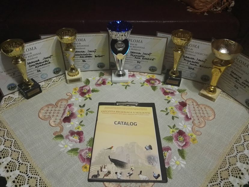  - CUPA MOLDOVEI 2018