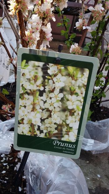  - noutati din Germania