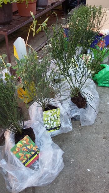  - noutati din Germania