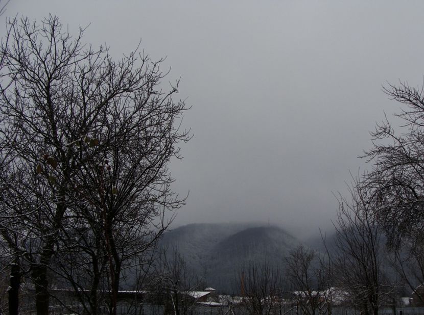 Vedere din grădina mea-22 ianuarie 2018 - Ianuarie 2018 - Februarie 2018