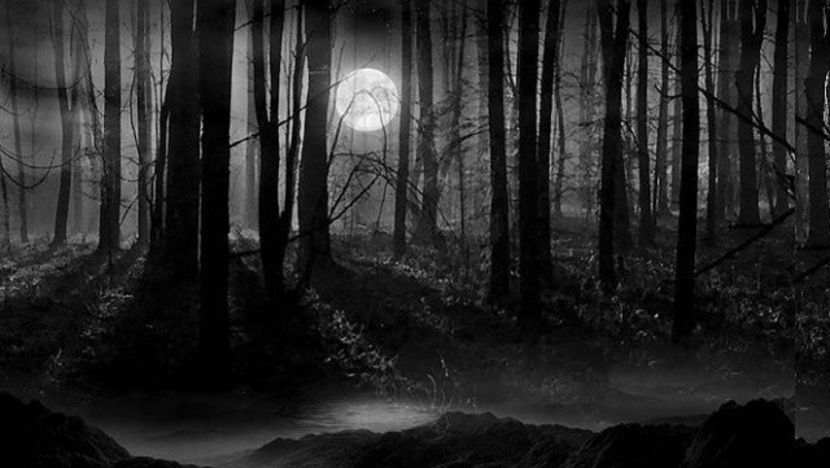 creepy_woods_night - CHAT HORROR-AICI IMI POVESTITI INTAMPLARILE VOASTRE PARANORMALE-CHAT DESCHIS HAIDETI SA VORBIM