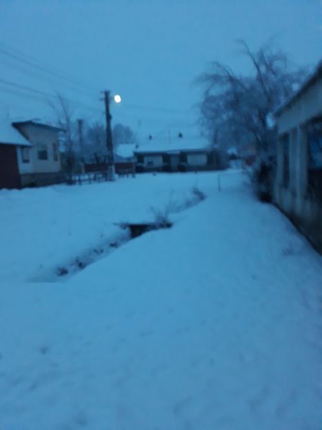 20180122_073831[1] - Iarna 2017-2018