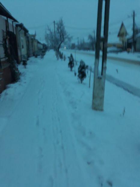 20180122_074332[1] - Iarna 2017-2018