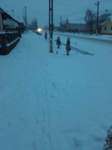 20180122_074404[1] - Iarna 2017-2018