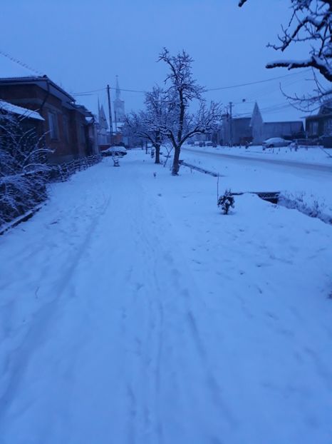 20180122_074457[1] - Iarna 2017-2018