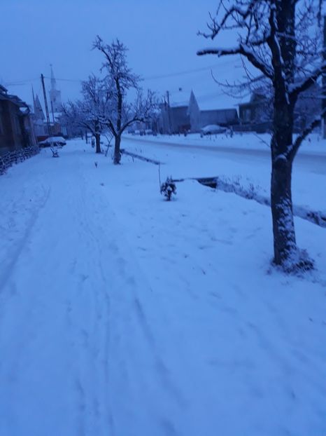 20180122_074459[1] - Iarna 2017-2018