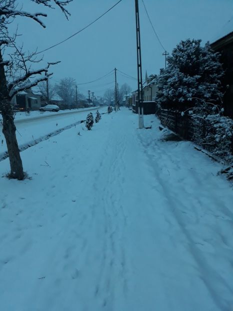 20180122_074512[1] - Iarna 2017-2018
