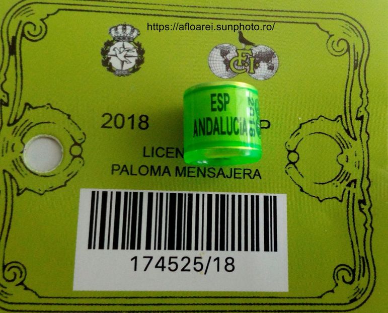 ESP ANDALUCIA 2018 - ANDALUCIA