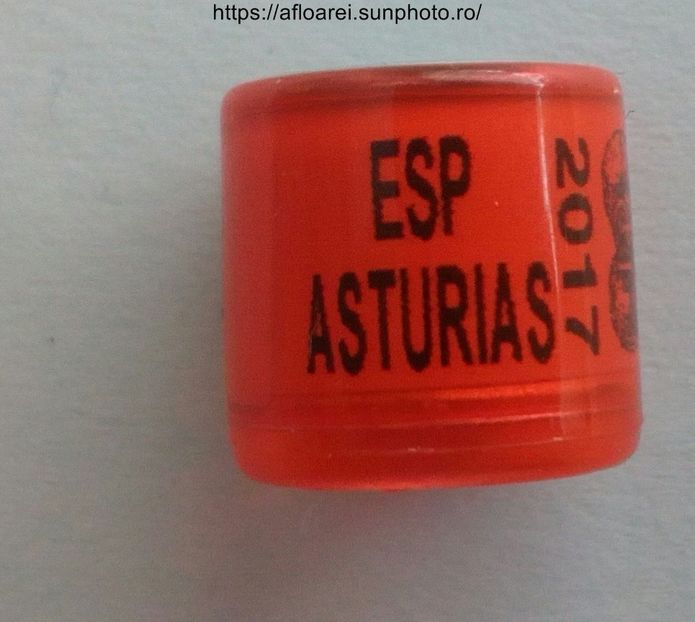 ESP ASTURIAS 2017 - AST
