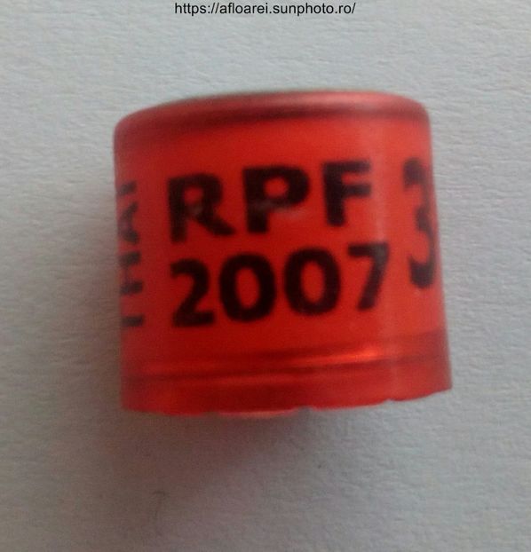 THAI RPF 2007 - THAILANDA