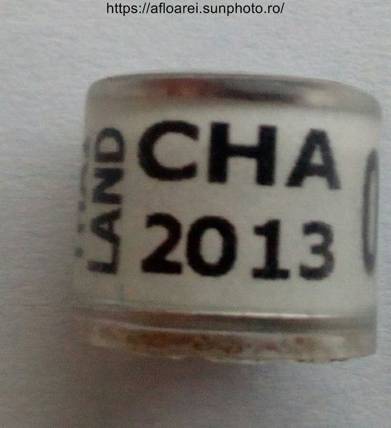 THAILAND CHA 2013 - THAILANDA